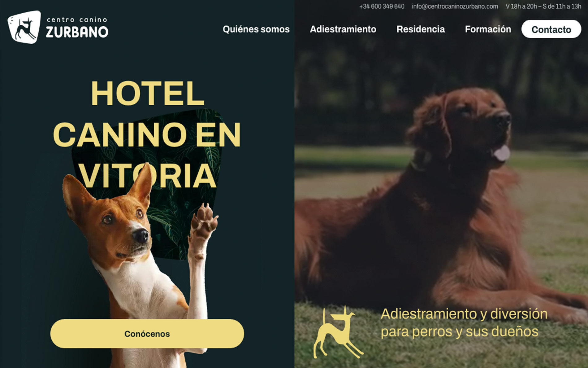 ▷ Ejemplo de página web para Centro Canino [A medida]