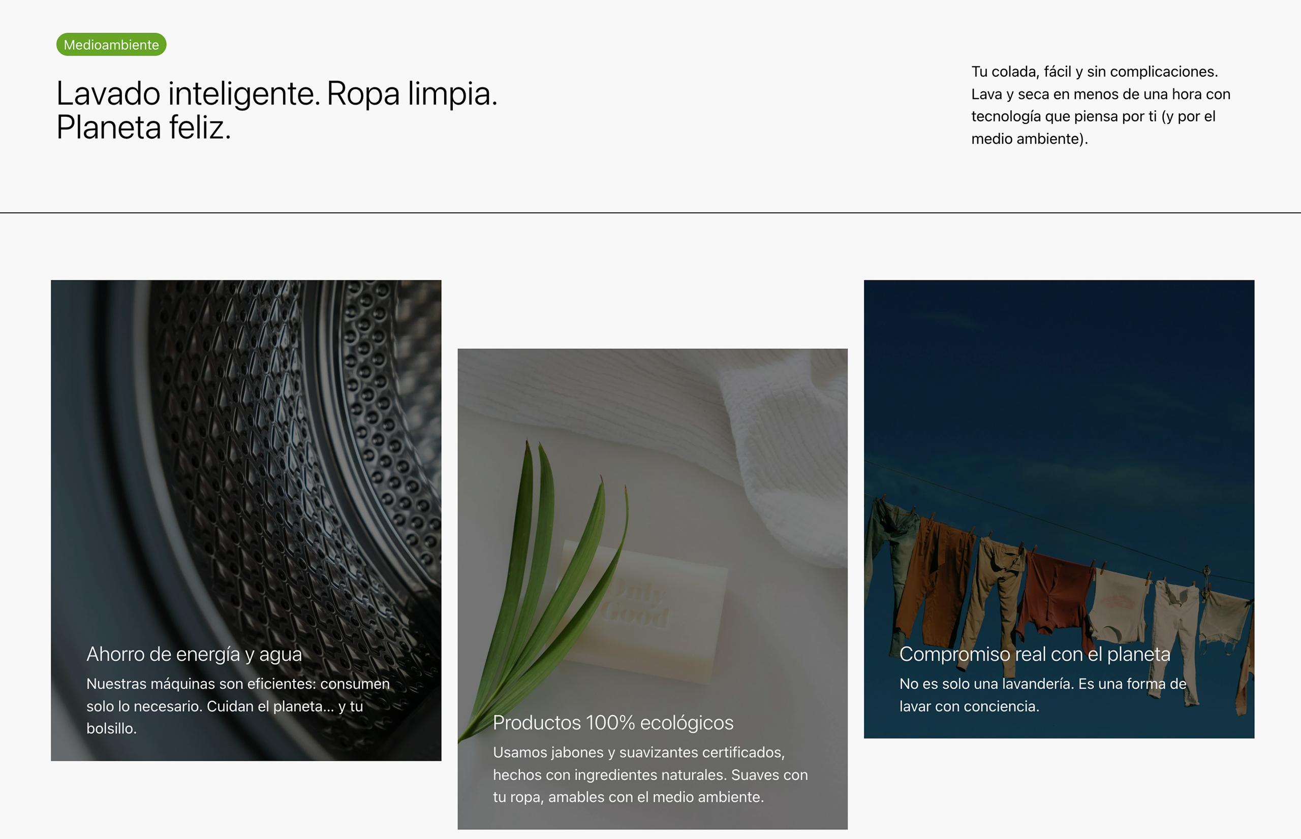 ▷ Ejemplo de página web para lavandería [A medida]