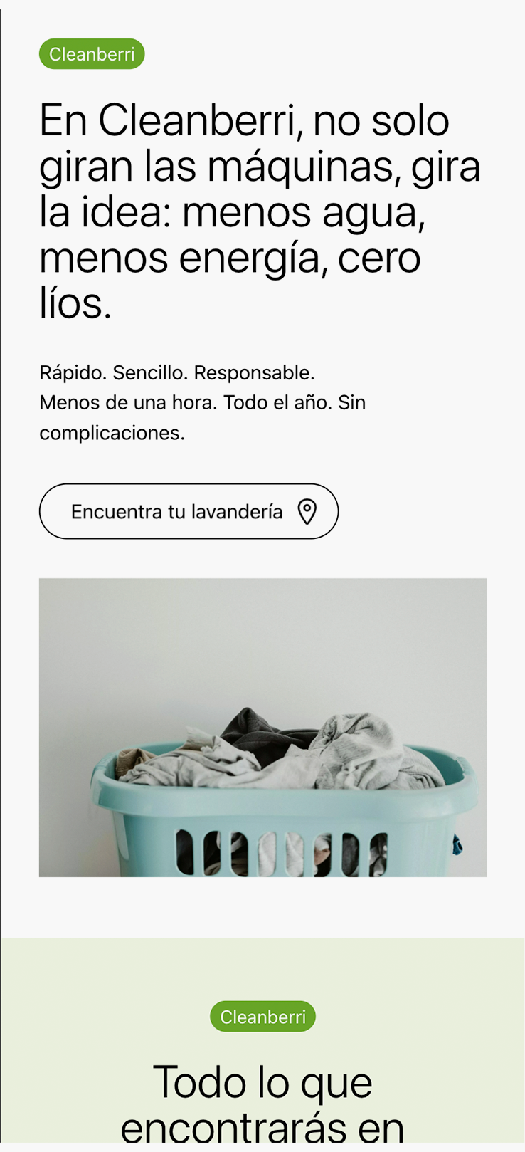 ▷ Ejemplo de página web para lavandería [A medida]