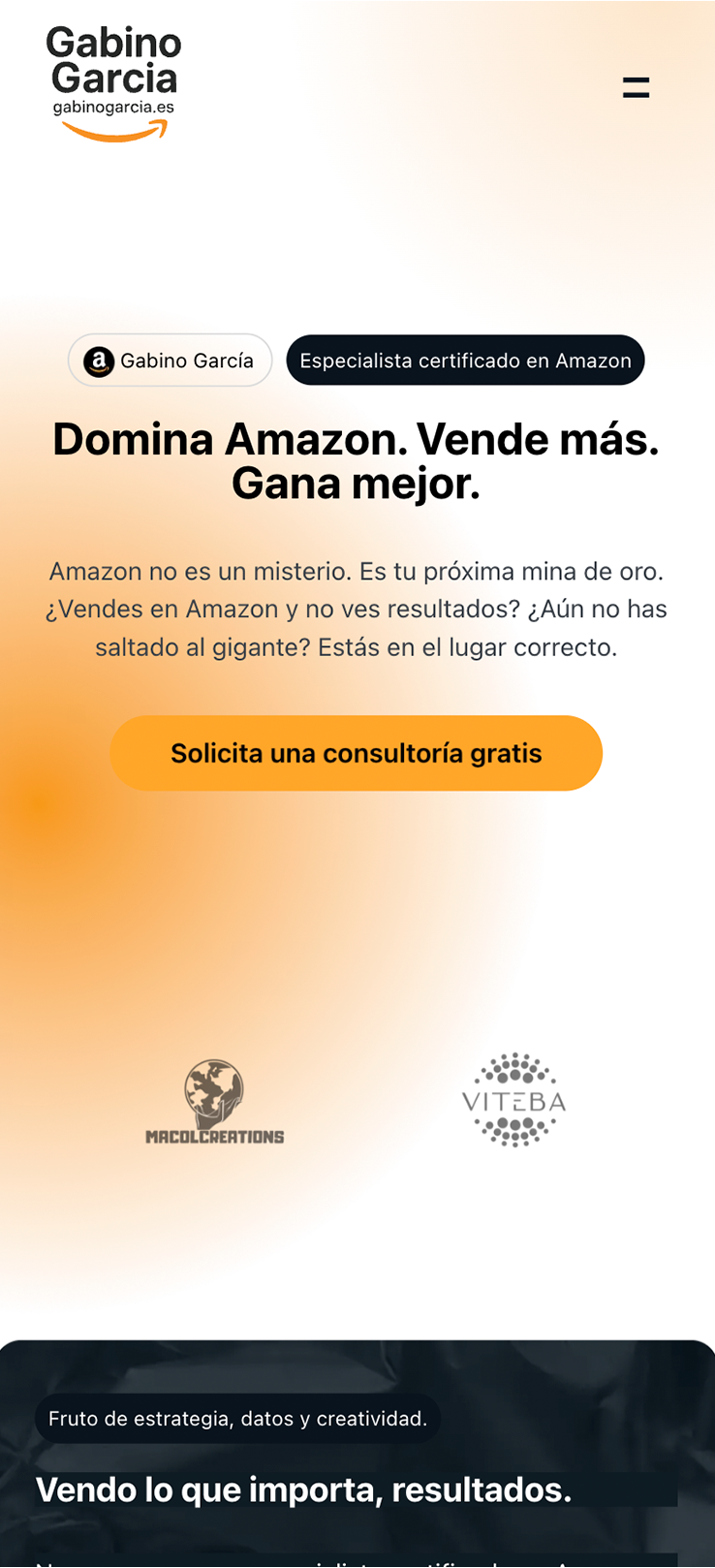 ▷ Ejemplo de página web para consultoría de ventas [A medida]